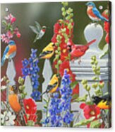 Birds - Spring-summer Theme Acrylic Print