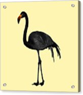 Black Flamingo 2 - Tropical Wall Decor - Flamingo Posters - Exotic Birds - Black, Modern, Minimal Acrylic Print