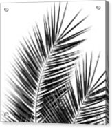Black Palm Leaves Dream - Cali Summer Vibes #1 #tropical #decor #art Acrylic Print