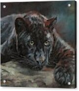 Black Panther 4 Acrylic Print