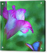 Blossom And Butterfly Acrylic Print
