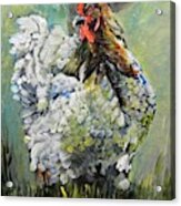 Blue Hen Acrylic Print