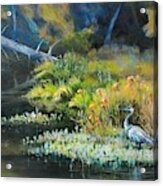 Blue Heron, Beyond The Bridge Acrylic Print