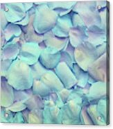 Blue Rose Petals Acrylic Print