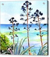 Blue Sea And Agave Acrylic Print