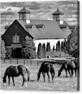 Bluegrass Horse Farm 2 Acrylic Print