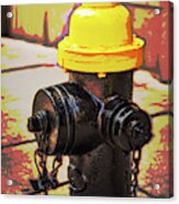 Boston Fire Hydrant Acrylic Print