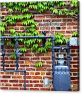 Boston Ivy And Gas Meter Acrylic Print