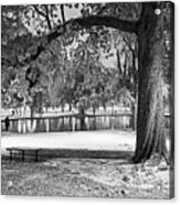 Boston Snowfall In The Boston Public Garden Boston Ma Autumn Tree Black And White Acrylic Print