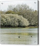 Branston Water Park Scene #1 Acrylic Print