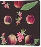 Brookshaw Peaches Acrylic Print