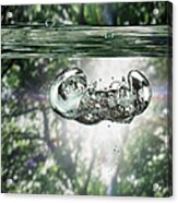 Bubbles Underwater View, Trees In Acrylic Print