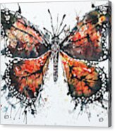 Butterfly Study I Acrylic Print