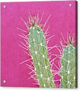 Cactus Against A Bright Pink Wall Acrylic Print