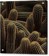 Cactus Acrylic Print