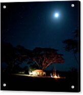 Camping Under Fever Tree And Full Moon Acrylic Print