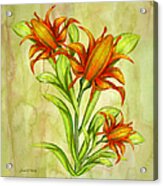 Canna Flowers Watercolor Acrylic Print