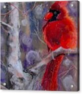 Cardinal In The Snow Acrylic Print