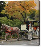 Carriage At Central Park Acrylic Print