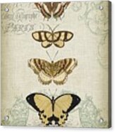 Cartouche & Butterflies Ii Acrylic Print