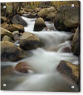 Cascading Stream South Fork Of Bishop Acrylic Print