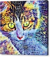 Cat Mosaic Yellow Eyes Acrylic Print