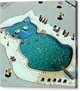 Cat-shaped Pool Acrylic Print