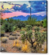 Catalina Mountains And Sonoran Desert Twilight Acrylic Print