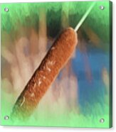 Cattail In Lime Green Vignetting Acrylic Print