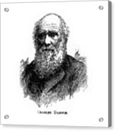 Charles Darwin, 19th Century British Acrylic Print