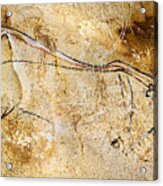 Chauvet Cave Lions Courting Acrylic Print