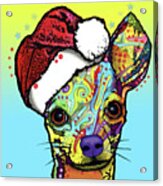 Chihuahua Christmas Acrylic Print