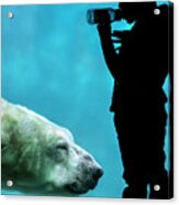 Child With Polar Bear Acrylic Print