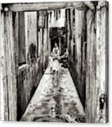 Children Playing In Stonetown Zanzibar 3665 Acrylic Print
