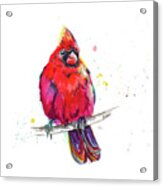 Christmas Cardinal Iii Acrylic Print