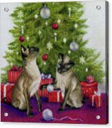 Christmas Siamese Cats Acrylic Print