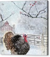Christmas Turkey Acrylic Print
