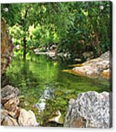 Clear Jungle India River Acrylic Print