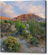 Cliffs In Flowering Desert, Red Rock Canyon State Park, California Acrylic Print