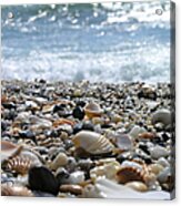 Close Up From A Beach Acrylic Print