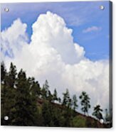 Cloud Backdrop For Pine Trees Acrylic Print