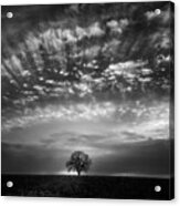 Cloud Parade Overhead Acrylic Print