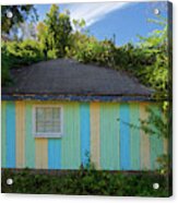Colorful Building In The Bushes Acrylic Print