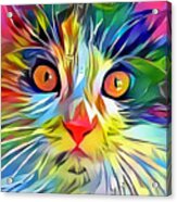 Colorful Calico Cat Acrylic Print