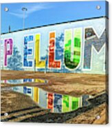 Colorful Deep Ellum Dallas Texas Mural Landmark Acrylic Print