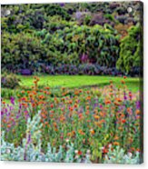 Colorful Kirstenbosch Gardens Acrylic Print