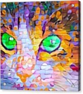 Colorful Paint Daubs Kitten Green Eyes Acrylic Print
