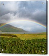 Colorful Rainbow Over Fresh Pasture With Sheep On The Isle Of Skye In Scotland Acrylic Print