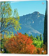 Colors Of The Season In Simi Valley Acrylic Print