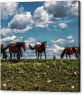 Conflab On A Hilltop Acrylic Print